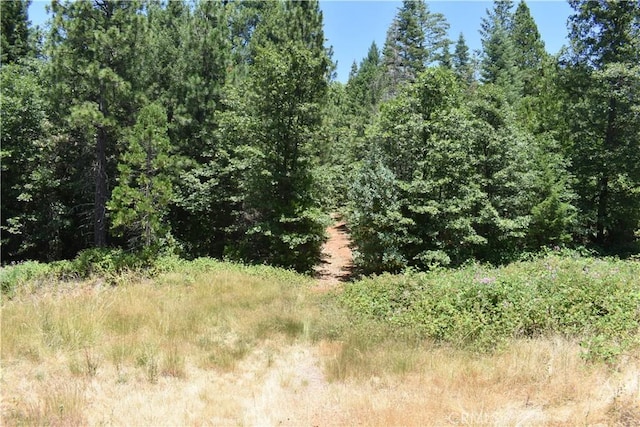 11605 La Porte Rd, Challenge, CA 95925 - view of wooded area