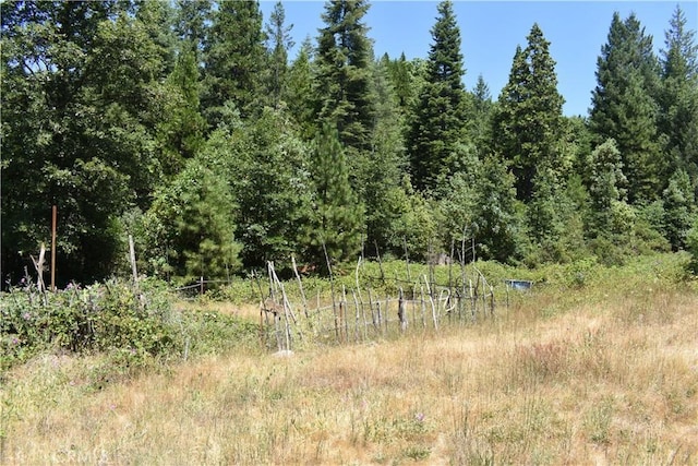 11605 La Porte Rd, Challenge, CA 95925 - view of woods