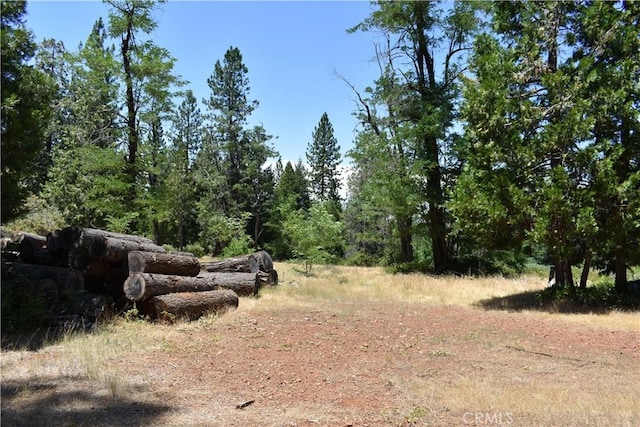 11605 La Porte Rd, Challenge, CA 95925 - view of nature