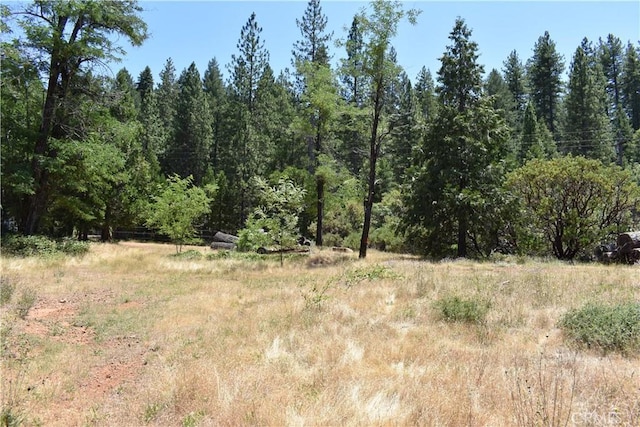 11605 La Porte Rd, Challenge, CA 95925 - view of tree filled area
