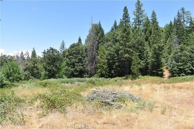 11605 La Porte Rd, Challenge, CA 95925 - view of tree filled area