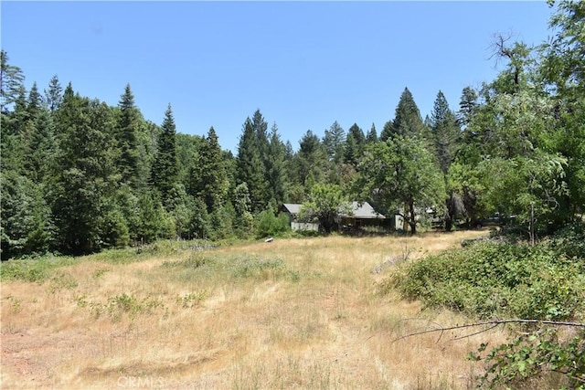11605 La Porte Rd, Challenge, CA 95925 - view of woods