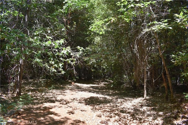 11605 La Porte Rd, Challenge, CA 95925 - view of woods