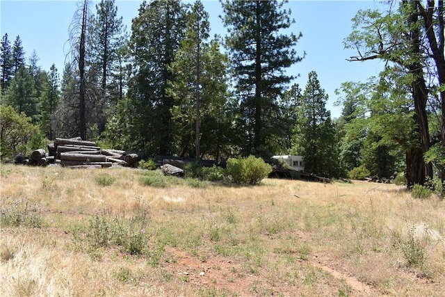 11605 La Porte Rd, Challenge, CA 95925 - view of woods