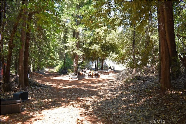 11605 La Porte Rd, Challenge, CA 95925 - view of yard featuring a wooded view