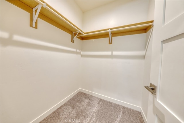 25904 Bear Valley Rd, Tehachapi, CA 93561 - walk in closet featuring carpet flooring