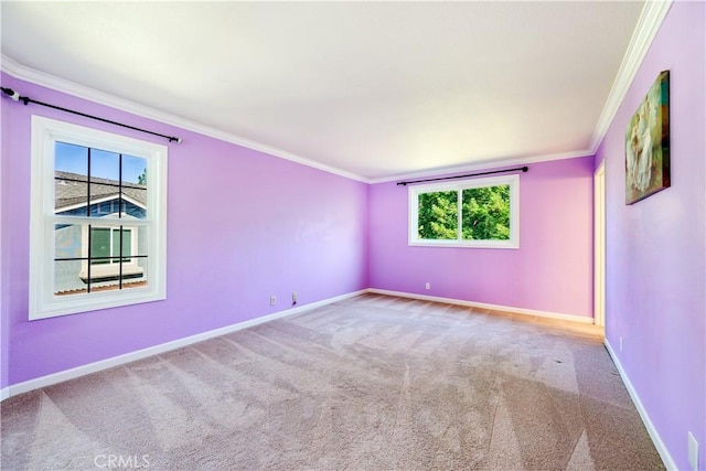 5004 Crandallwood Dr, Fremont, CA 94555 - photo 23