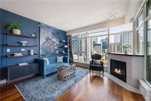1199 Pacific Unit 1303, San Diego, CA 92101 - living room featuring a glass covered fireplace, wood finished floors, and a city view