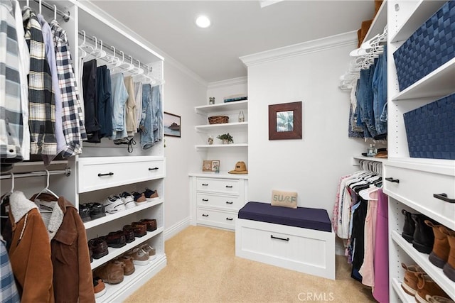 968 Saddlehorn Pl, Newbury Park, CA 91320 - walk in closet featuring light colored carpet