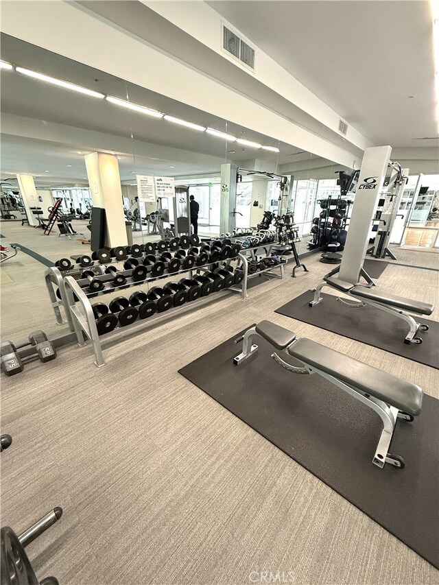 1234 Wilshire Blvd Unit 330, Los Angeles, CA 90017 - workout area with carpet floors