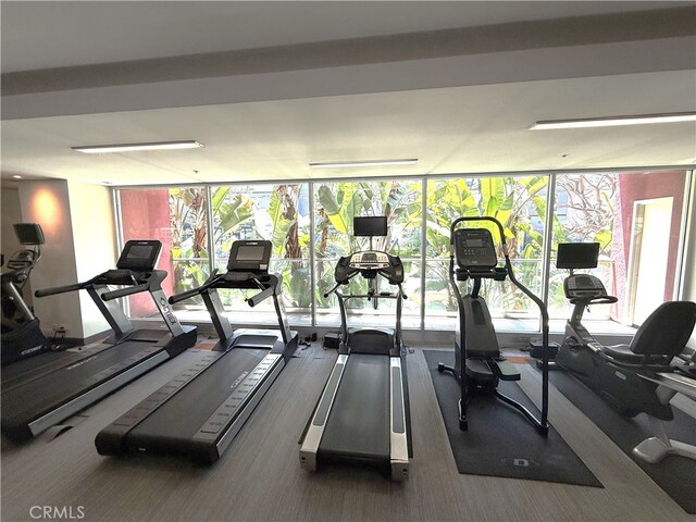 1234 Wilshire Blvd Unit 330, Los Angeles, CA 90017 - workout area featuring a wall of windows and carpet floors
