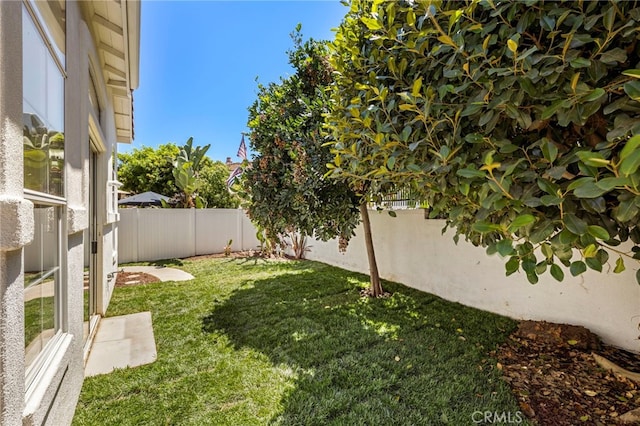 27884 Via De Costa, San Juan Capistrano, CA 92675 - view of fenced backyard