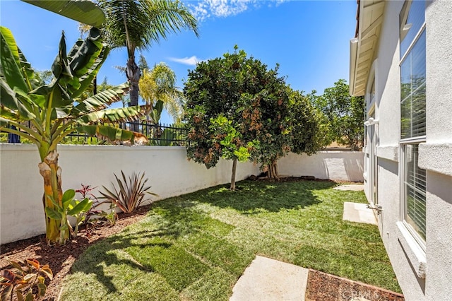 27884 Via De Costa, San Juan Capistrano, CA 92675 - view of fenced backyard