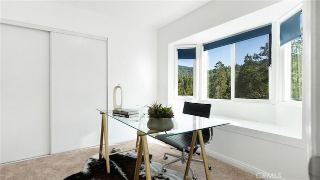 29282 Pine Dr, Cedar Glen, CA 92321 - carpeted office space featuring healthy amount of natural light