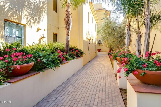 130 N Garden St Unit 3241, Ventura, CA 93001 - photo 28