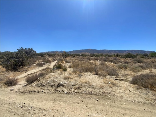 0 Green Rd, Pinon Hills, CA 92372 - photo 5