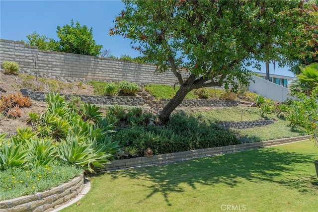 24612 Artemia Ave, Mission Viejo, CA 92691 - view of yard