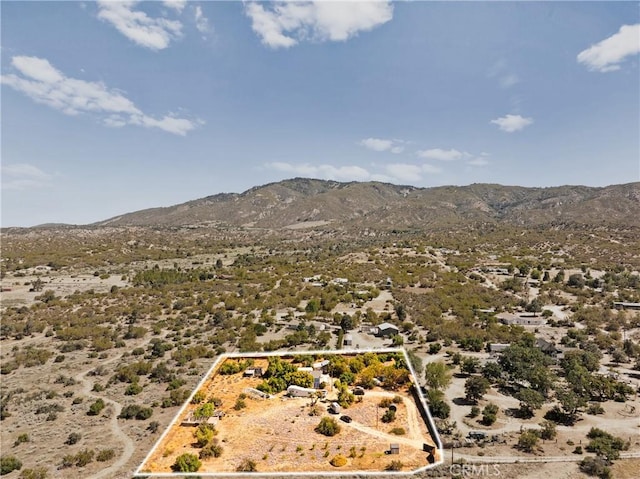 37649 Regal Blue Trl, Anza, CA 92539 - photo 8