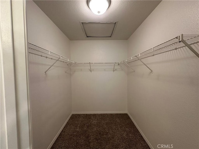53024 Astrid Way, Lake Elsinore, CA 92532 - spacious closet featuring carpet floors