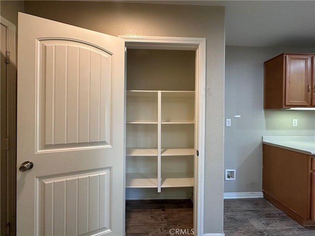 53024 Astrid Way, Lake Elsinore, CA 92532 - view of pantry
