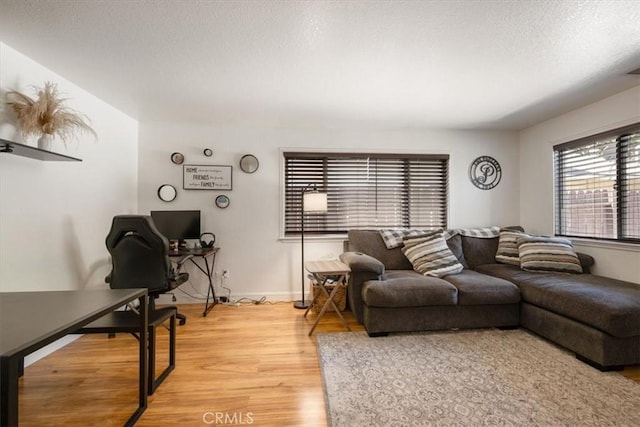 1812 Riverside Ave, Paso Robles, CA 93446 - living room featuring light wood-type flooring and a textured ceiling