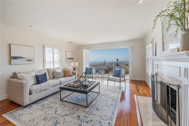 426 Via La Selva, Redondo Beach, CA 90277 - living area featuring a fireplace with flush hearth, light wood-style flooring, and crown molding