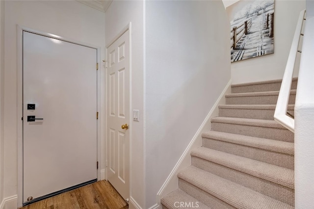 6 Edgartown St, Ladera Ranch, CA 92694 - photo 20