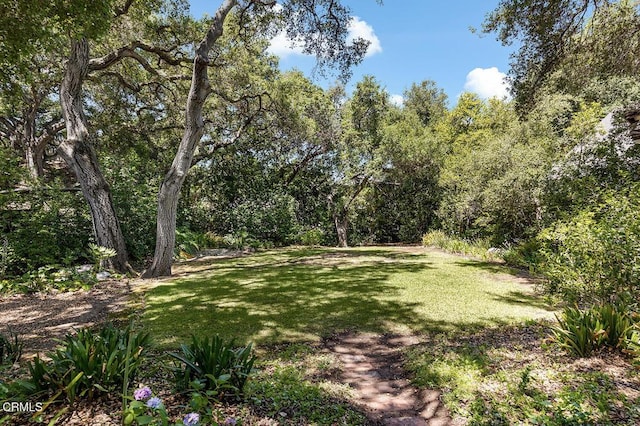 2058 Lyans Dr, La Canada Flintridge, CA 91011 - photo 4