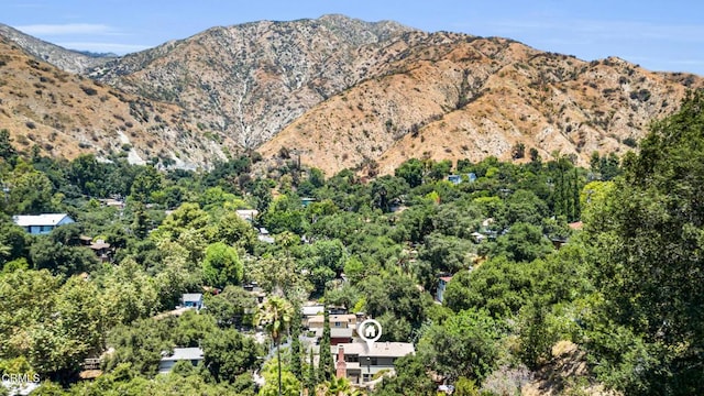 600 Woodland Dr, Sierra Madre, CA 91024 - photo 60