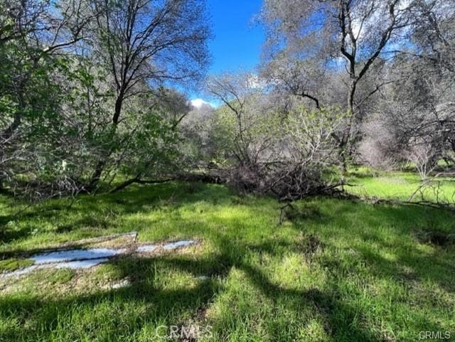45580 Sierra Dr, Three Rivers, CA 93271 - photo 7