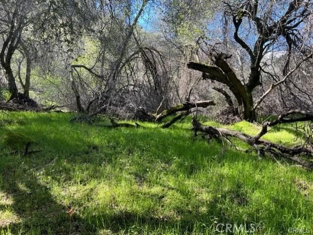 45580 Sierra Dr, Three Rivers, CA 93271 - photo 3