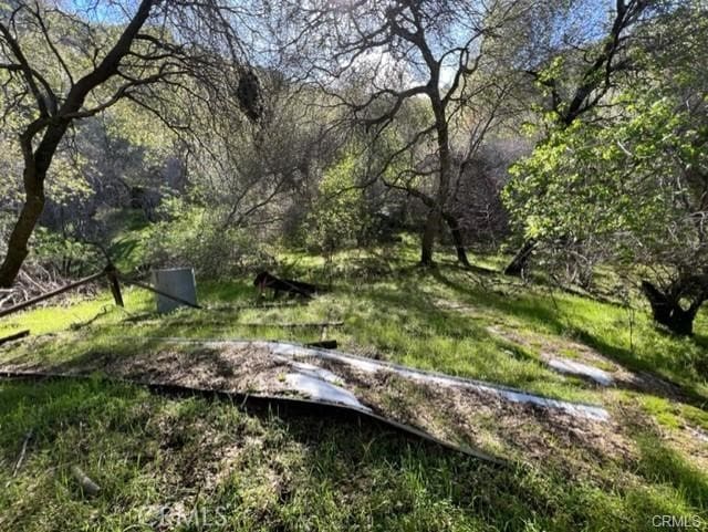 45580 Sierra Dr, Three Rivers, CA 93271 - photo 8