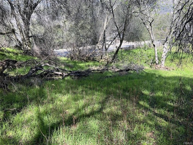 45580 Sierra Dr, Three Rivers, CA 93271 - photo 2