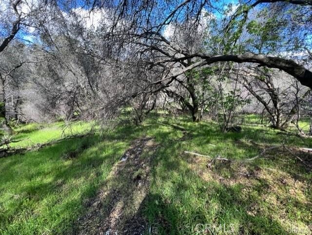 45580 Sierra Dr, Three Rivers, CA 93271 - photo 5