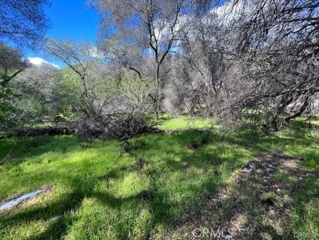 45580 Sierra Dr, Three Rivers, CA 93271 - photo 6