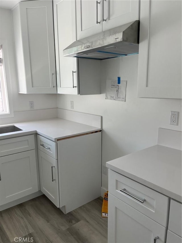 3028 E 1st St, Los Angeles, CA 90063 - kitchen featuring under cabinet range hood, light wood-type flooring, light countertops, and white cabinetry