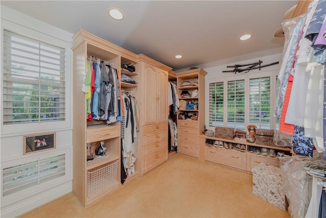 662 Via Zapata, Riverside, CA 92507 - spacious closet with light carpet