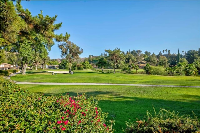 662 Via Zapata, Riverside, CA 92507 - view of home's community featuring a lawn