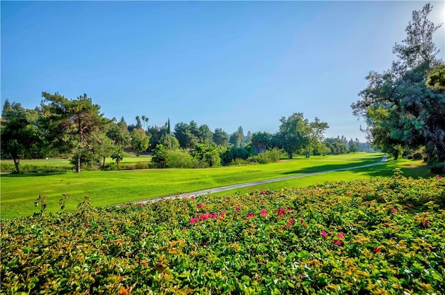 662 Via Zapata, Riverside, CA 92507 - surrounding community featuring a lawn and view of wooded area