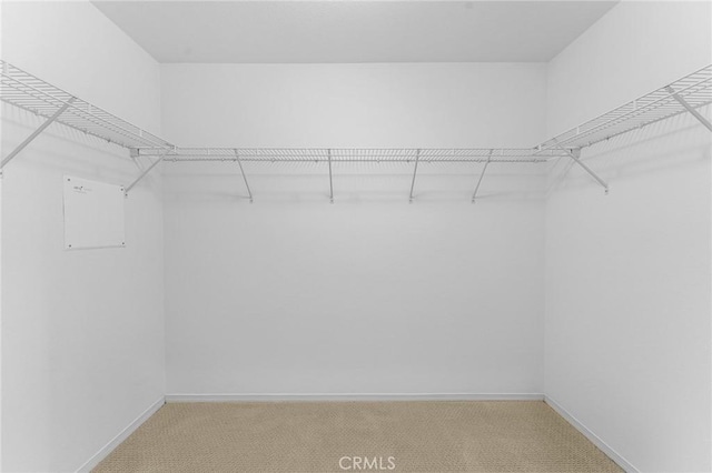 1581 Margit St, Redlands, CA 92374 - walk in closet with light carpet