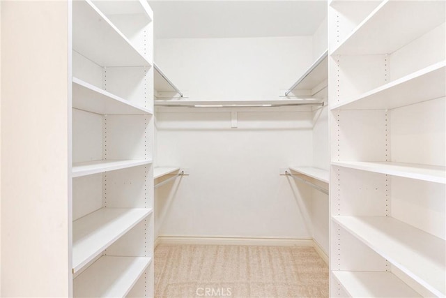 134 E Las Flores Ave, Arcadia, CA 91006 - walk in closet with carpet flooring
