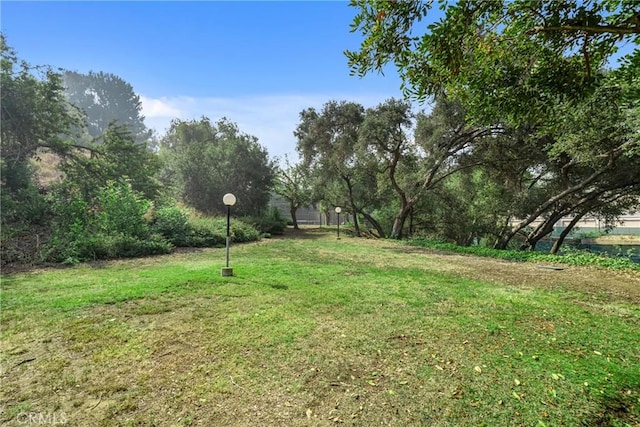 19950 Esquiline Ave, Walnut, CA 91789 - view of green lawn