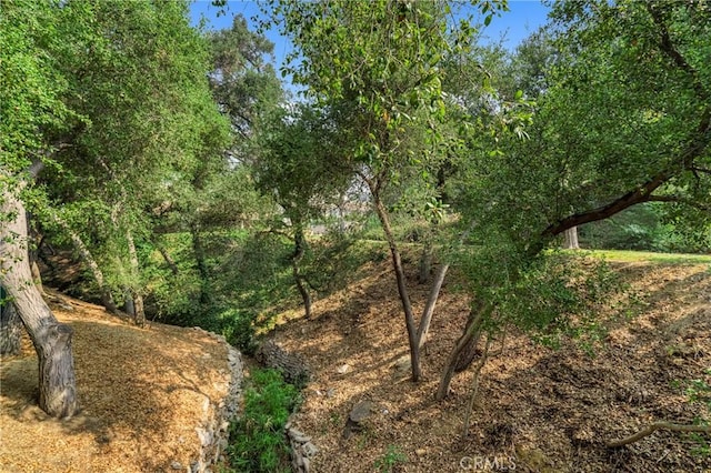 19950 Esquiline Ave, Walnut, CA 91789 - view of undeveloped land