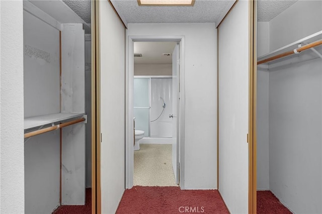 19950 Esquiline Ave, Walnut, CA 91789 - spacious closet with carpet
