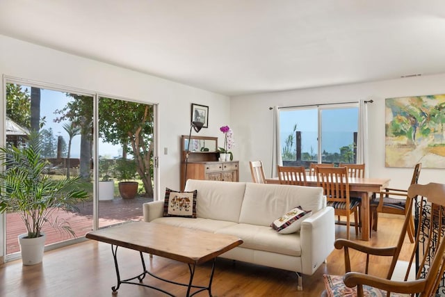 1001 Hurstdale Ave, Cardiff By The Sea, CA 92007 - photo 6