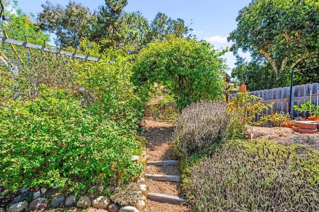 3432 Mount Ariane Dr, San Diego, CA 92111 - view of yard