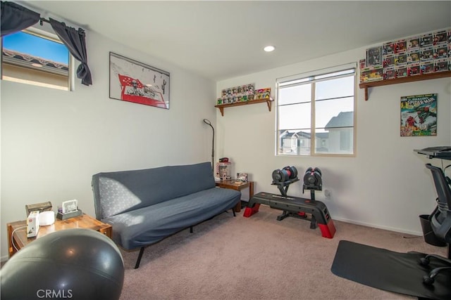 29392 Tourmaline Way, Winchester, CA 92596 - workout room featuring carpet floors and recessed lighting