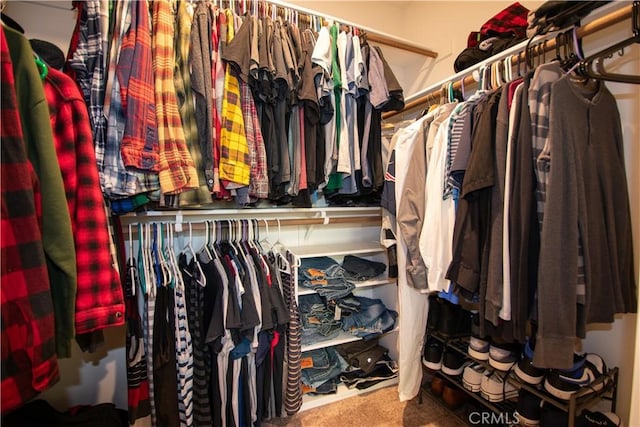 29392 Tourmaline Way, Winchester, CA 92596 - spacious closet featuring carpet flooring