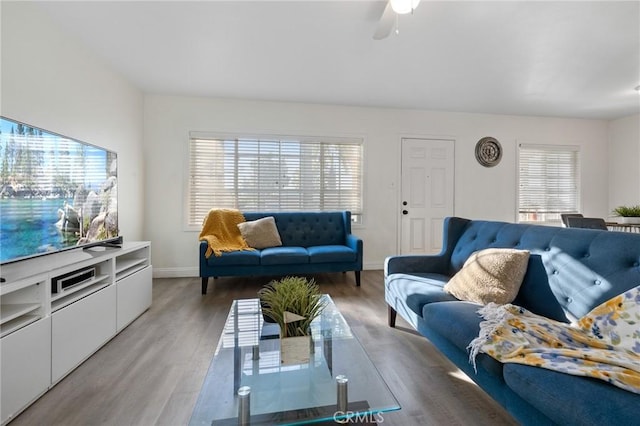 8626 Stark St, Riverside, CA 92504 - living area with healthy amount of natural light, light wood-style flooring, and a ceiling fan