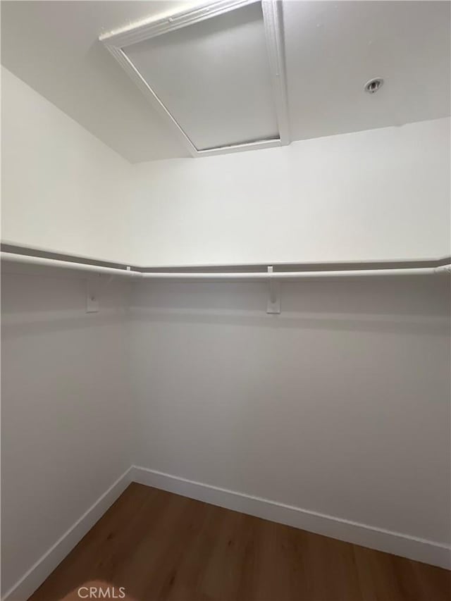 8810 Hewitt Pl Unit 2, Garden Grove, CA 92844 - spacious closet with dark wood-style floors